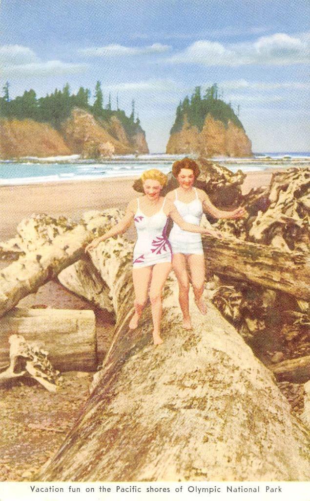Olympic National Park, Washington Bathing Beauties Beach c1940s Vintage Postcard