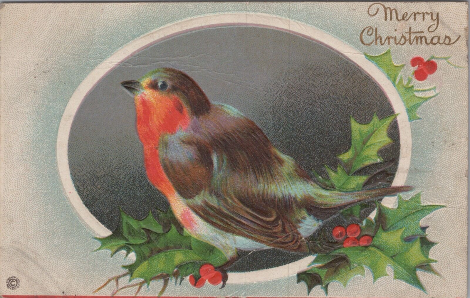 Merry Christmas Bird c1910s UNP Postcard 6376d2 MR ALE