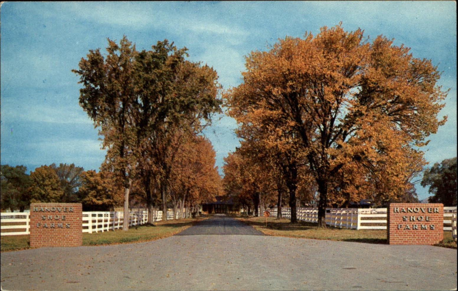 Hanover Pennsylvania Shoe Horse Farms entrance autumn foliage vintage postcard