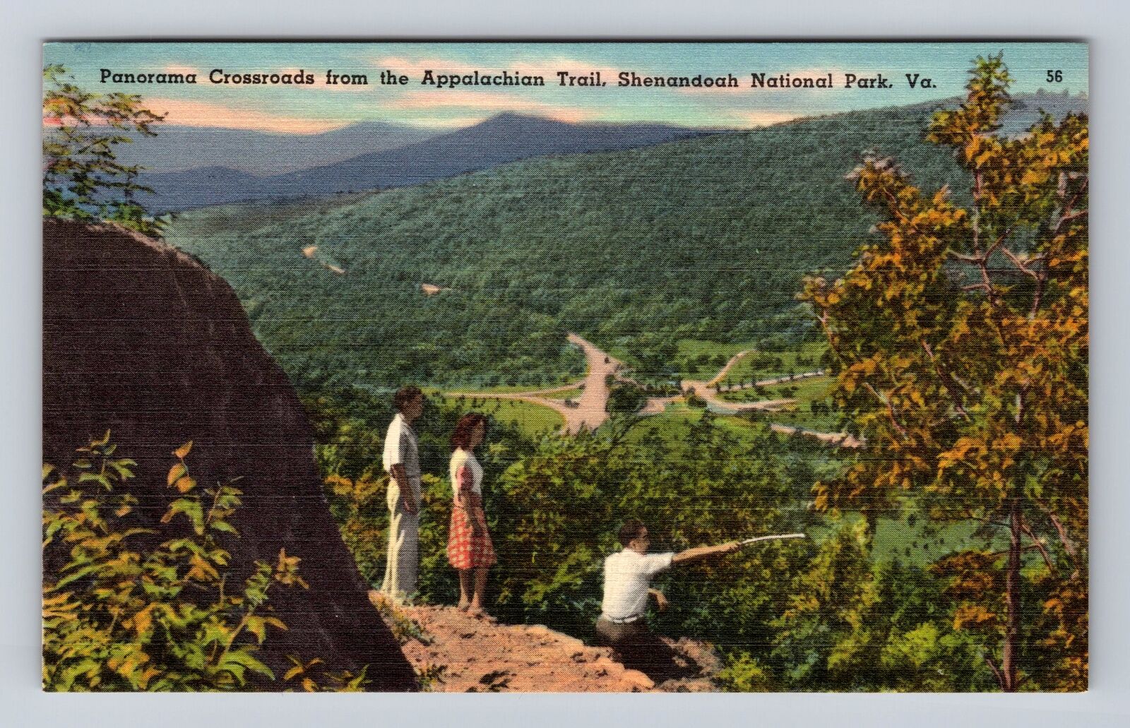 Shenandoah National Park, Panorama Crossroads Appalachian Trail Vintage Postcard