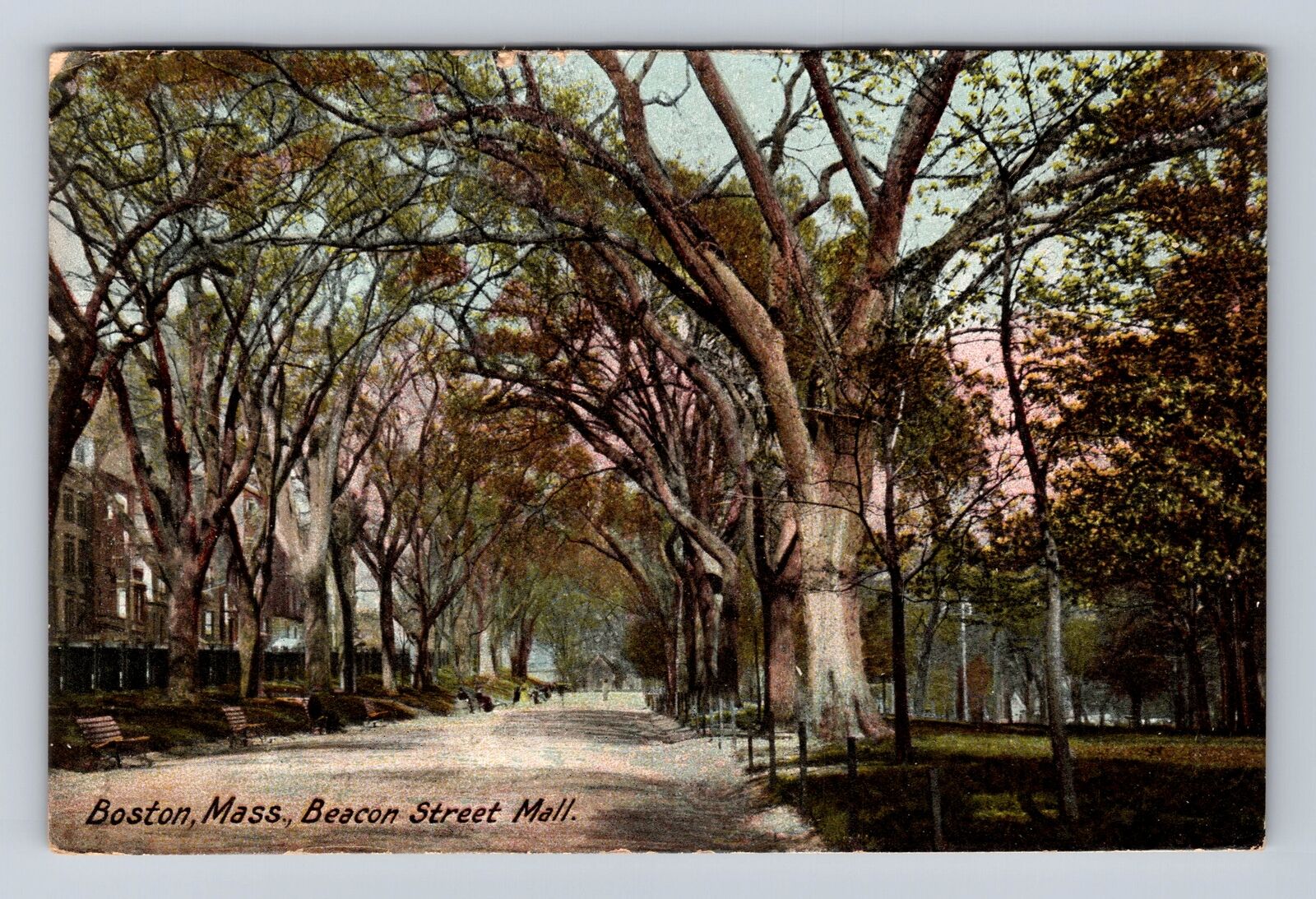 Boston MA-Massachusetts, Beacon Street Mall, Antique Vintage c1907 Postcard
