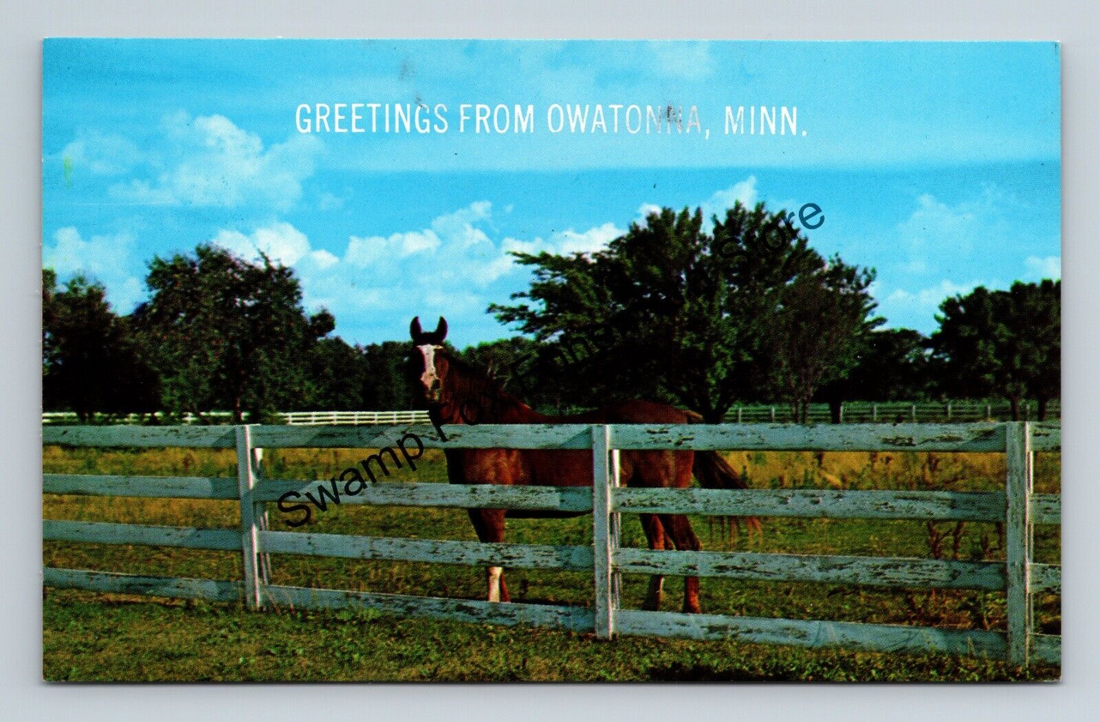 Postcard Greetings From Owatonna Minnesota Horse White Fence