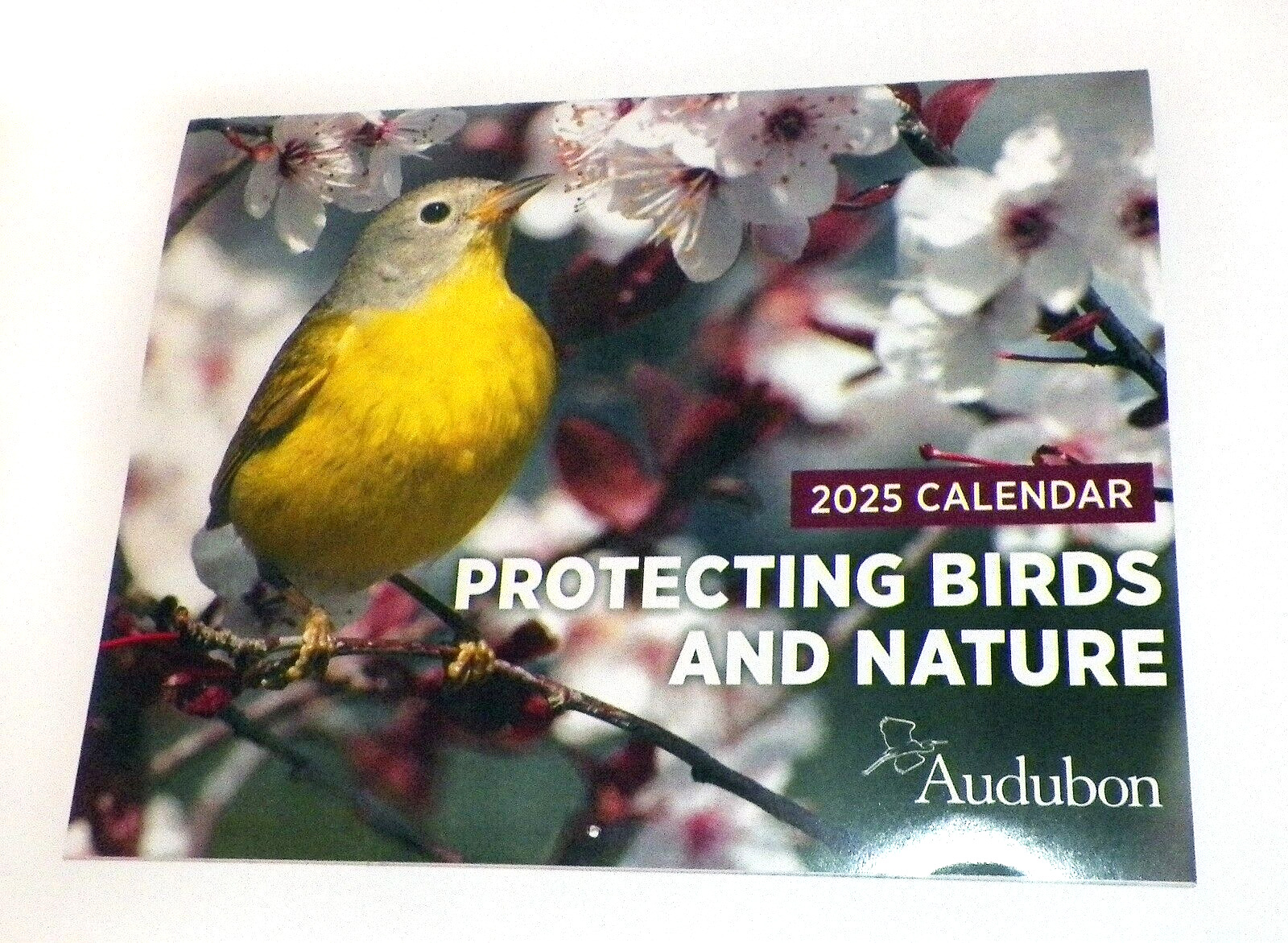 2025 Audubon Society monthly calendar