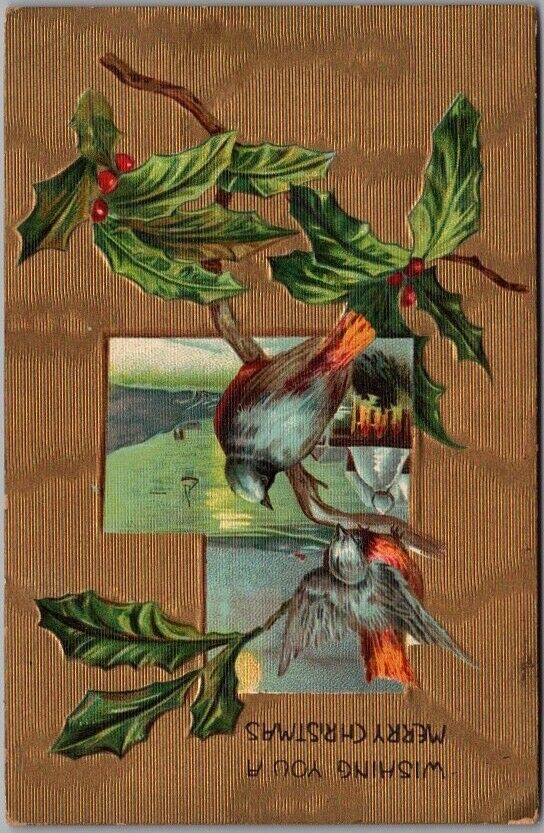 c1910s MERRY CHRISTMAS Embossed Postcard Robin Birds / Holly Branch / Church