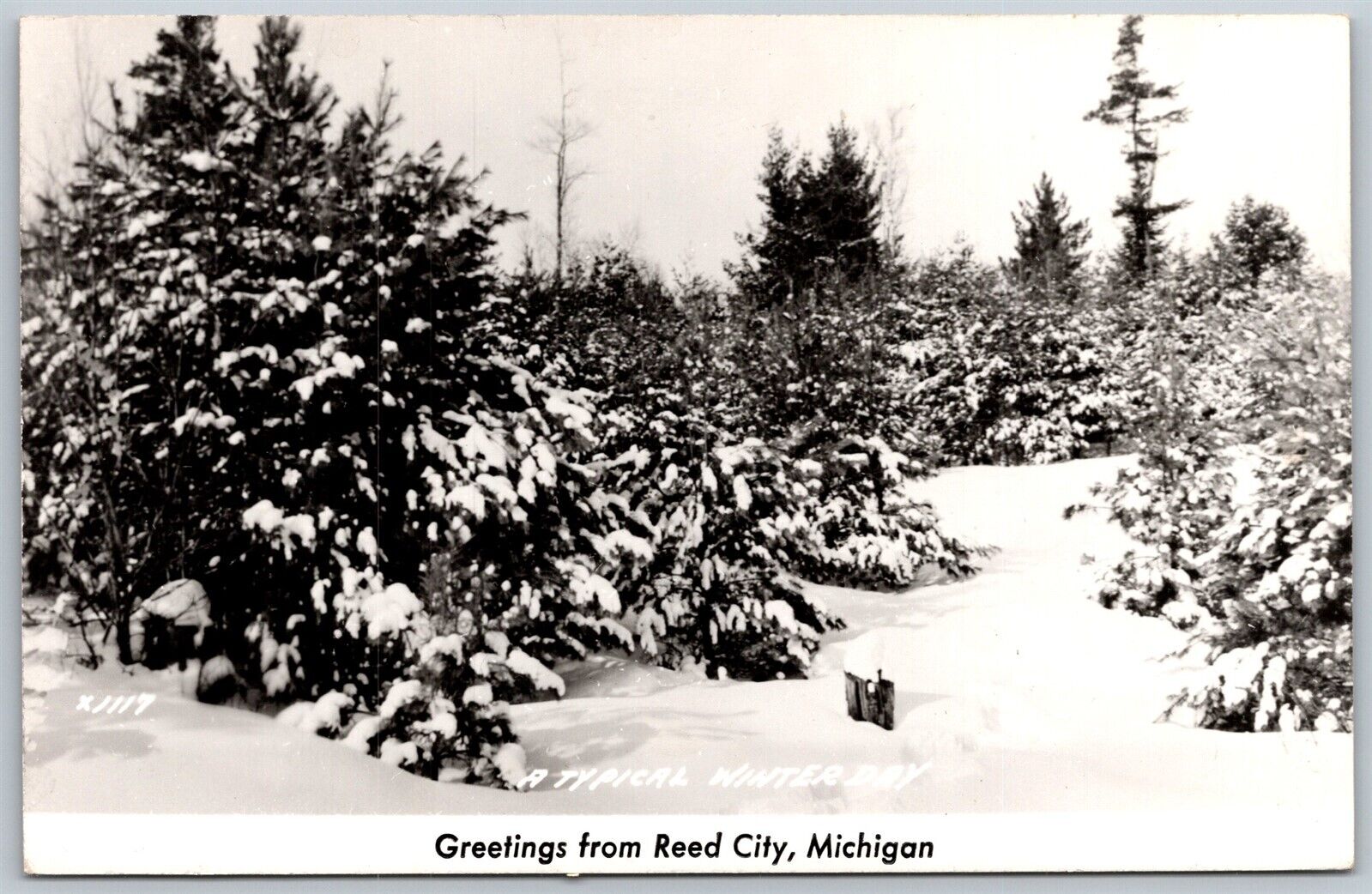 Vtg Reed City Michigan MI Typical Winter Day Snow RPPC Real Photo Postcard