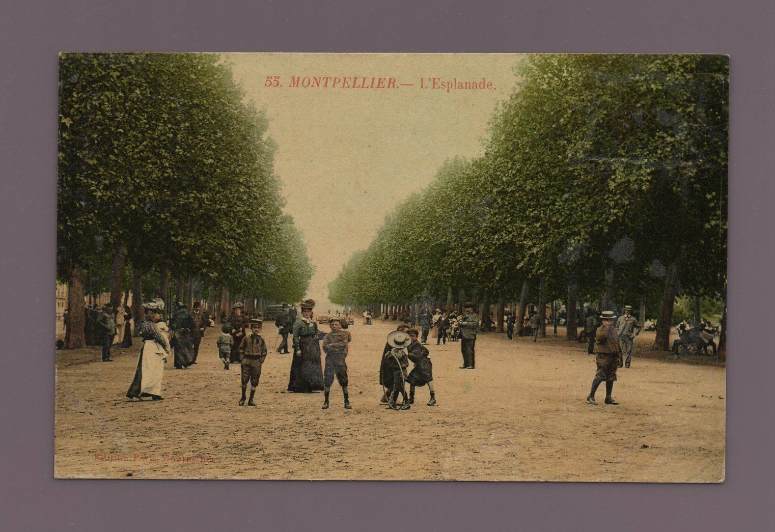 Montpellier - L\'Esplanade (K8758)