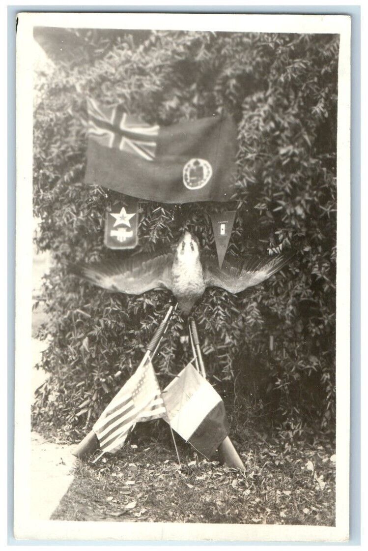 c1918 WWI Army American French British Flag Bird Shotguns RPPC Unposted Postcard