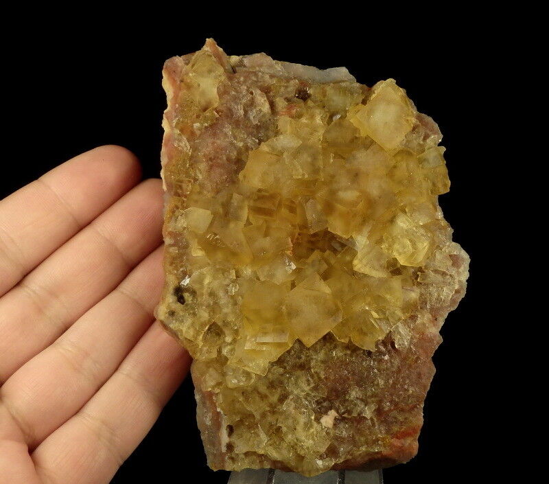 Nice YELLOW cubic FLUORITE crystals  ----- MOROCCO Midelt - Sidi Said /kv997
