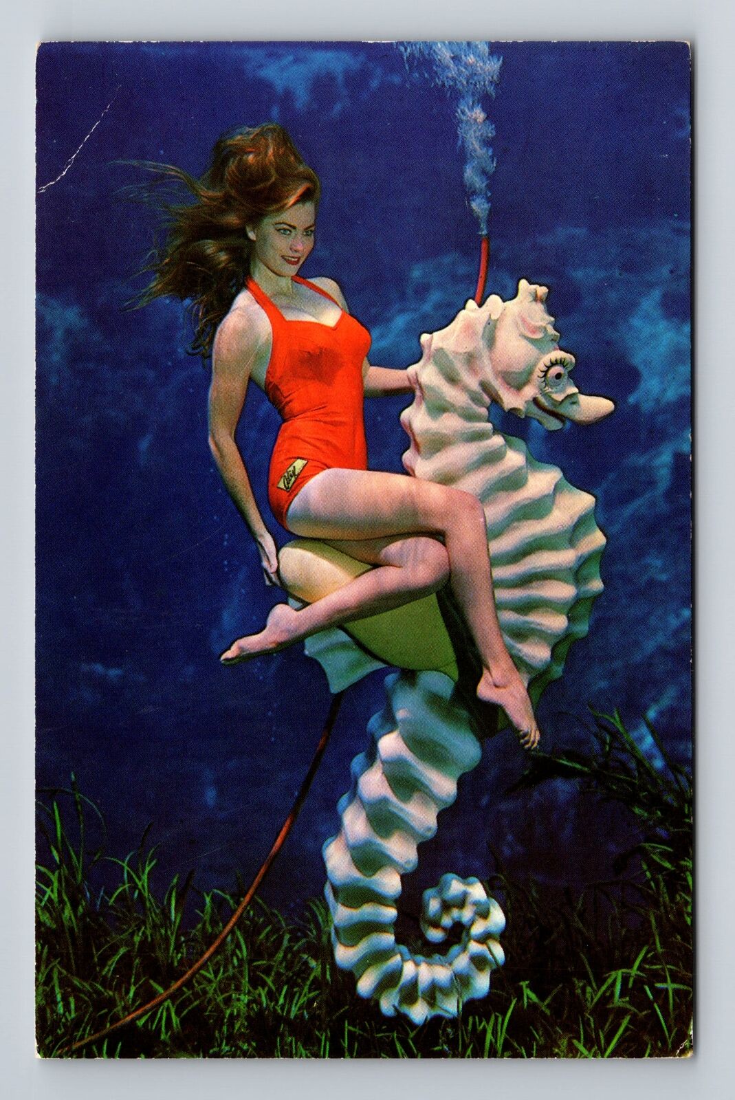Weeki Wachee FL-Florida, Spring of Live Mermaids Underwater Pal Vintage Postcard