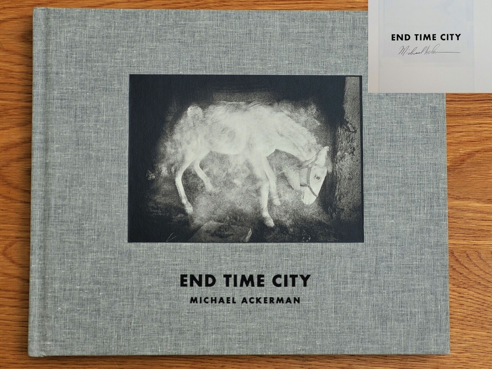 Michael Ackerman. End Time City. 2021. Signed. French printing.