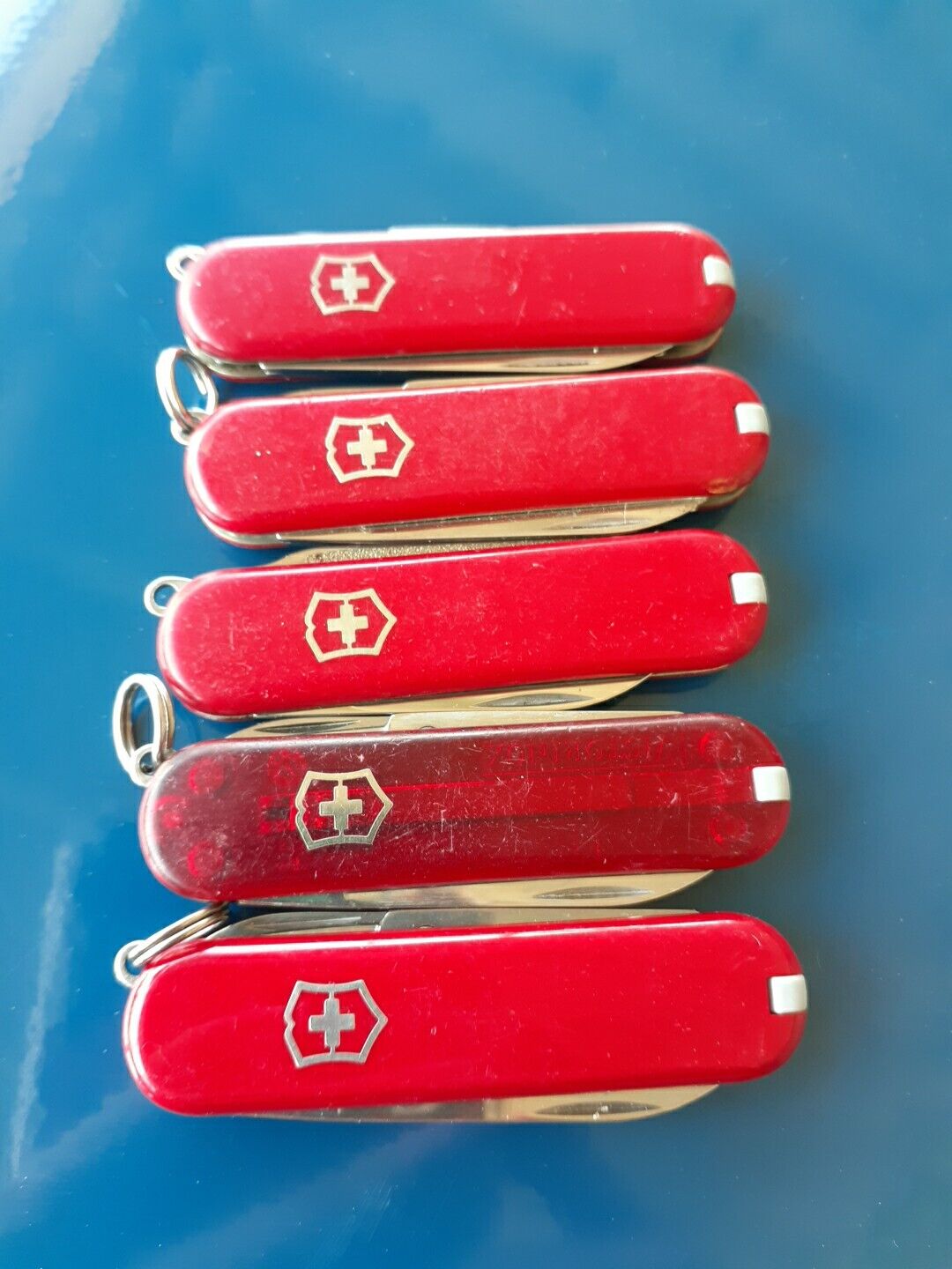 Lot 5 Victorinox Classic Sd Swiss Army Knives Red Translucent Red Z19