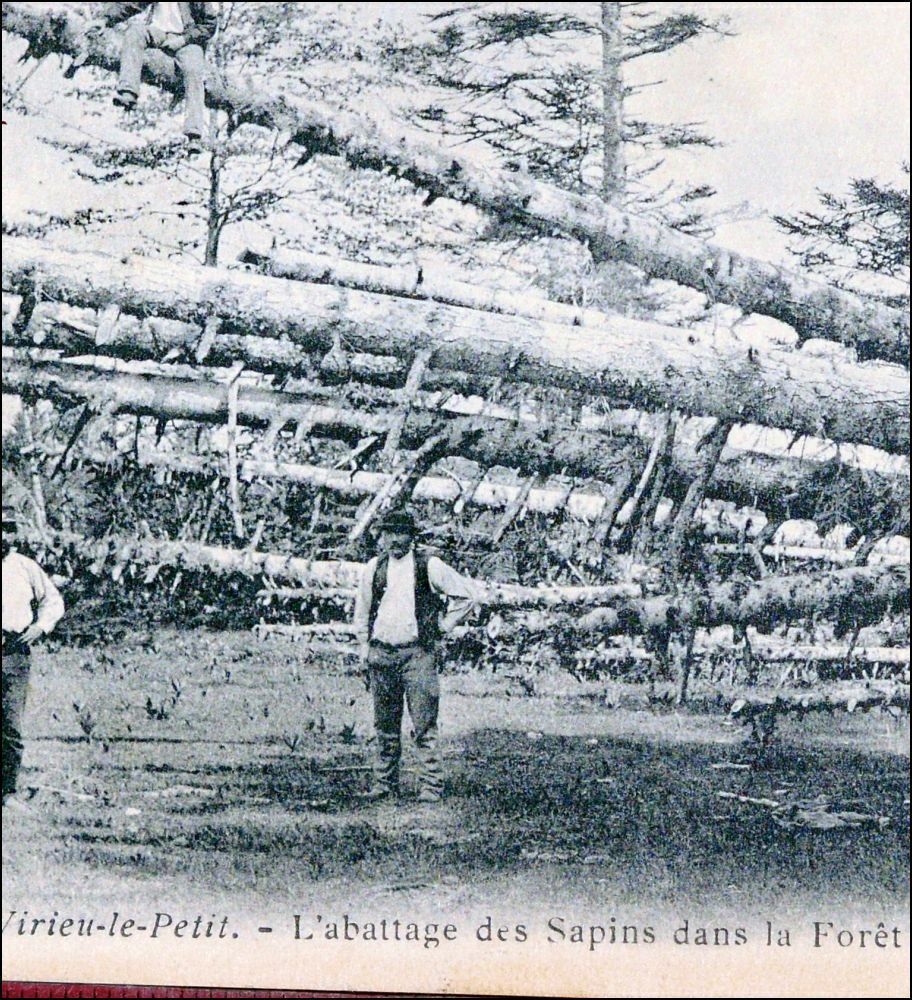AIN VIRIEU-LE-PETIT 1904 FORESTIER BUCHERON FOREST ARVIERE OLD POSTCARD