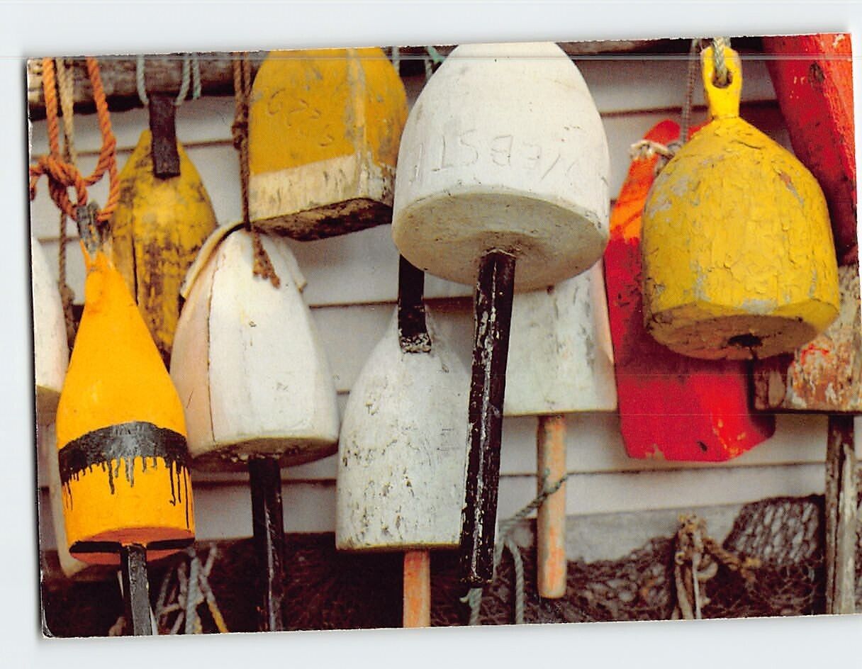 Postcard A colorful array of lobster buoys Coastal Maine USA