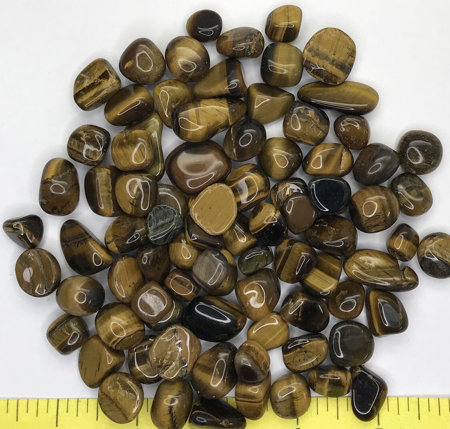 TIGER EYE GOLDEN Small to X-Large polished stones     1/2 lb