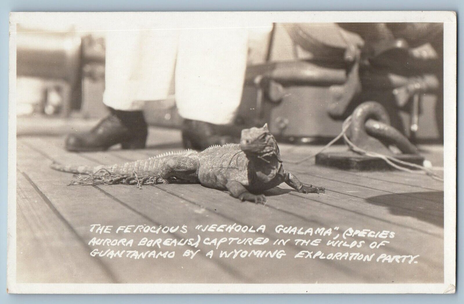 USS Wyoming Postcard RPPC Photo Pet Lizard Mascot Guantanamo c1910's Antique