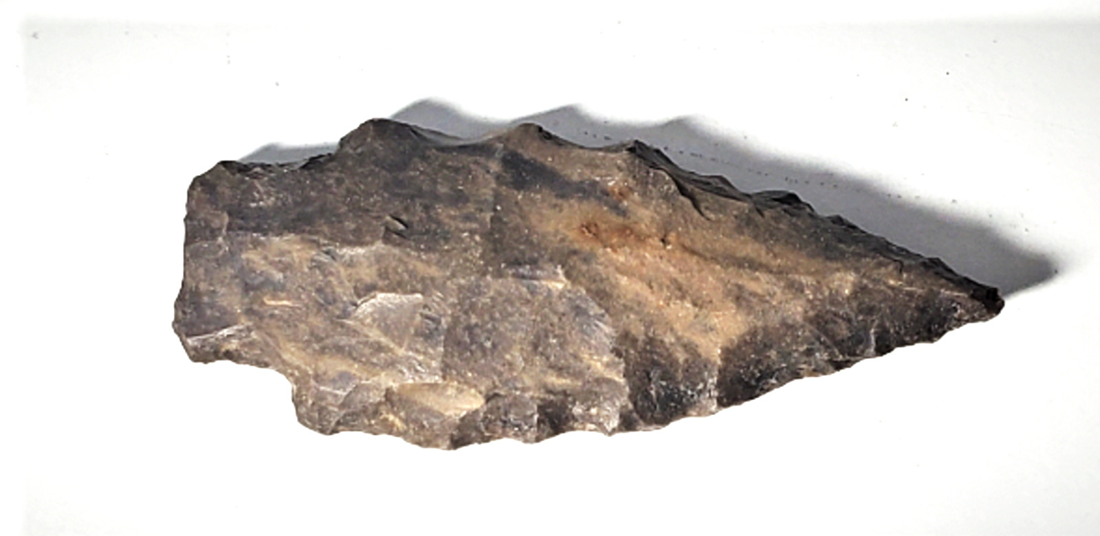 Ancient AL Archaic Basal Notch Grey Chert Arrowhead Lot