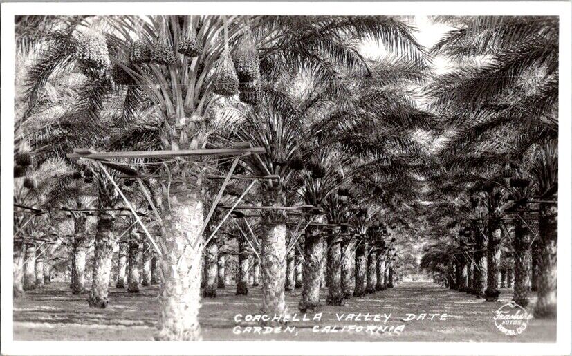  RPPC Postcard Coachella Valley Date Garden CA California c.1925-1942      J-661