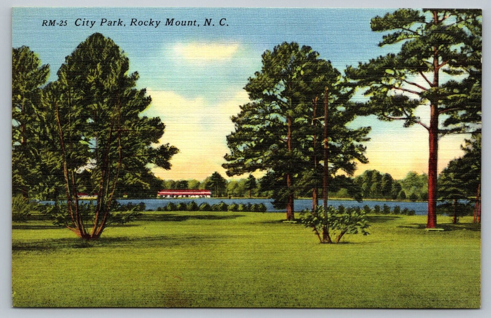Postcard City Park Rocky Mount North Carolina NC Linen