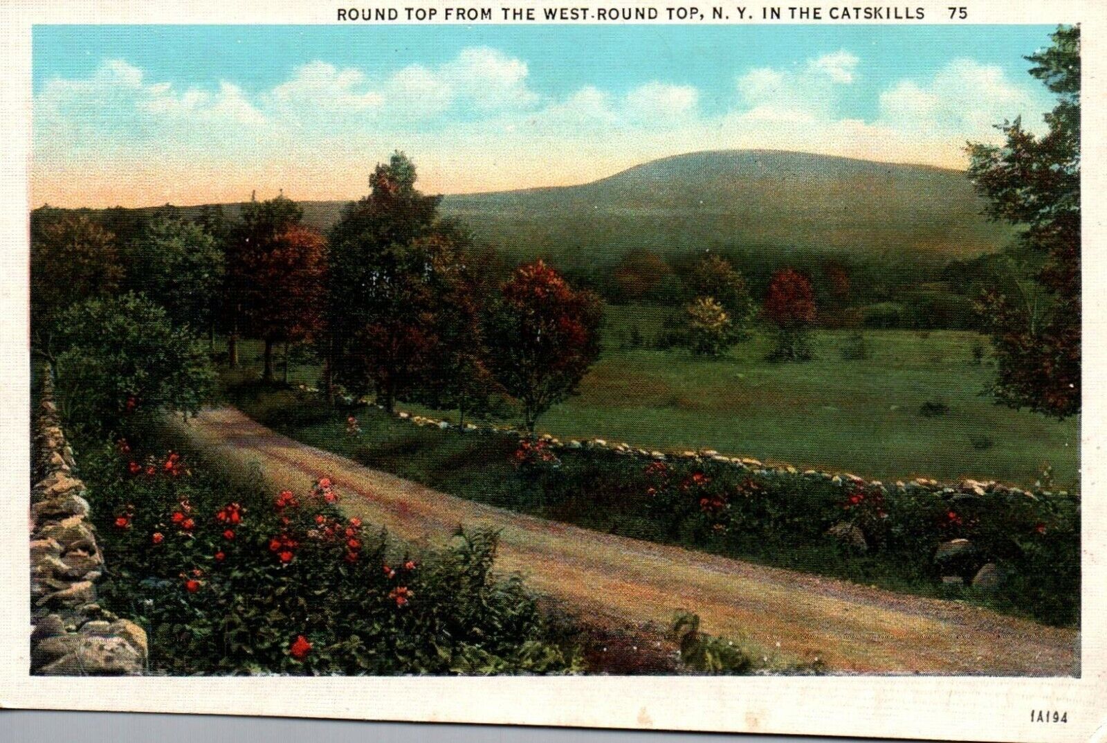 Catskills Mountains New York NY Round Top From West Round Top Vintage Postcard