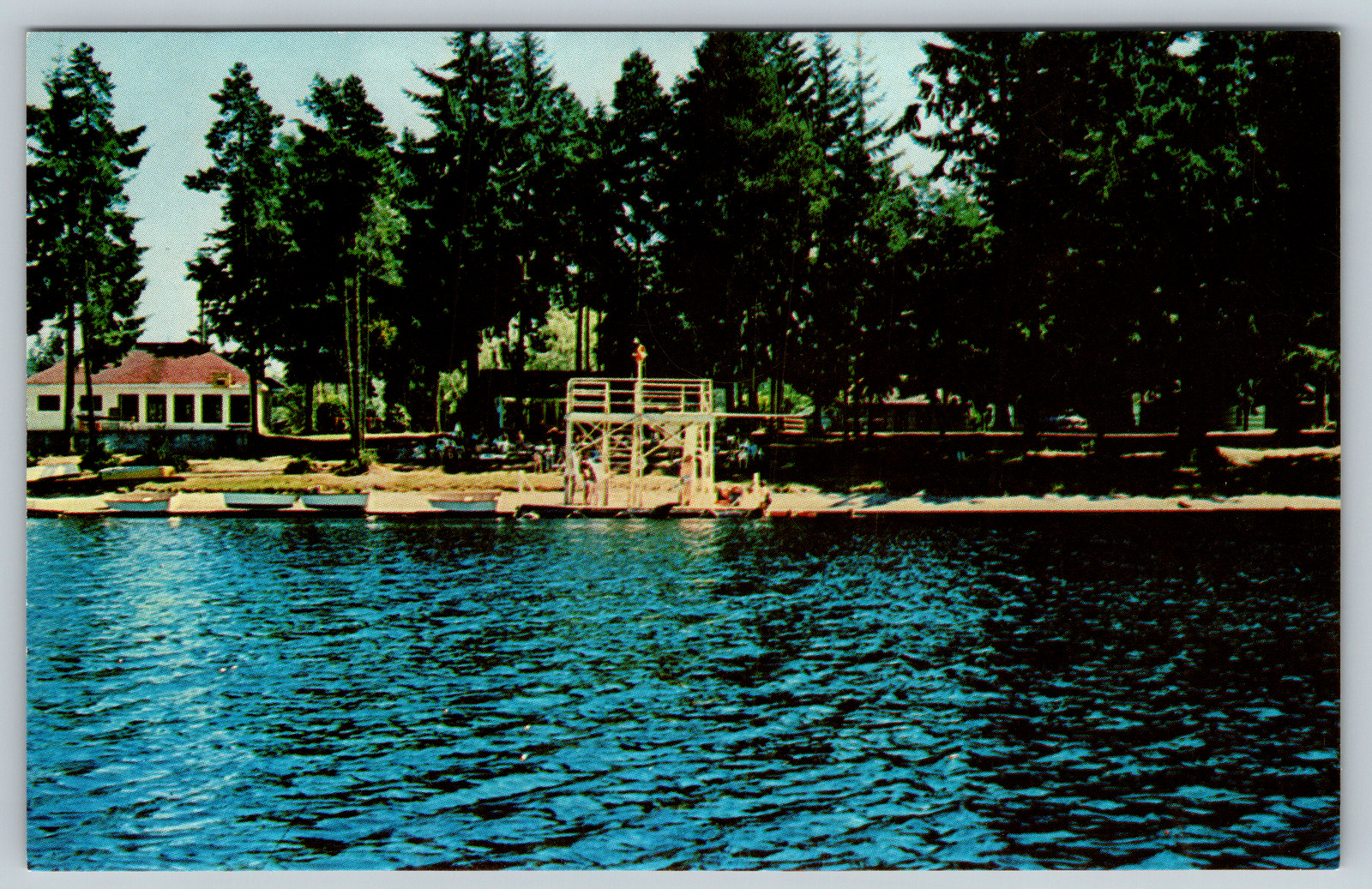 c1960s Port Orchard Washington Horseshoe Lake Ranch Vintage Postcard
