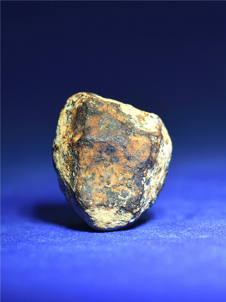 65.3g Beautiful Mundrabilla Iron meteorite--IAB-ung  irons--from Australia