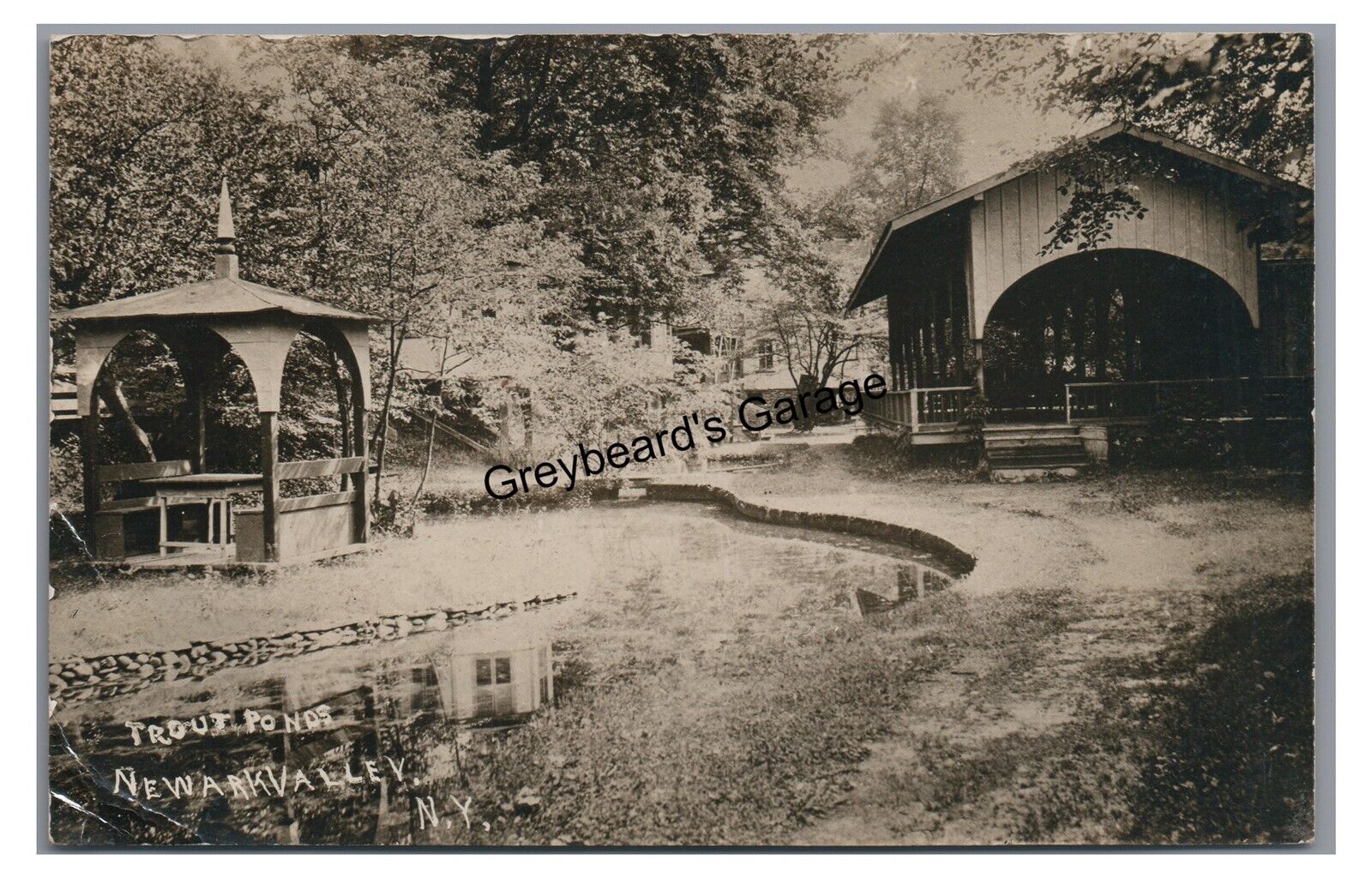RPPC Trout Ponds Park NEWARK VALLEY NY Tioga County New York Real Photo Postcard