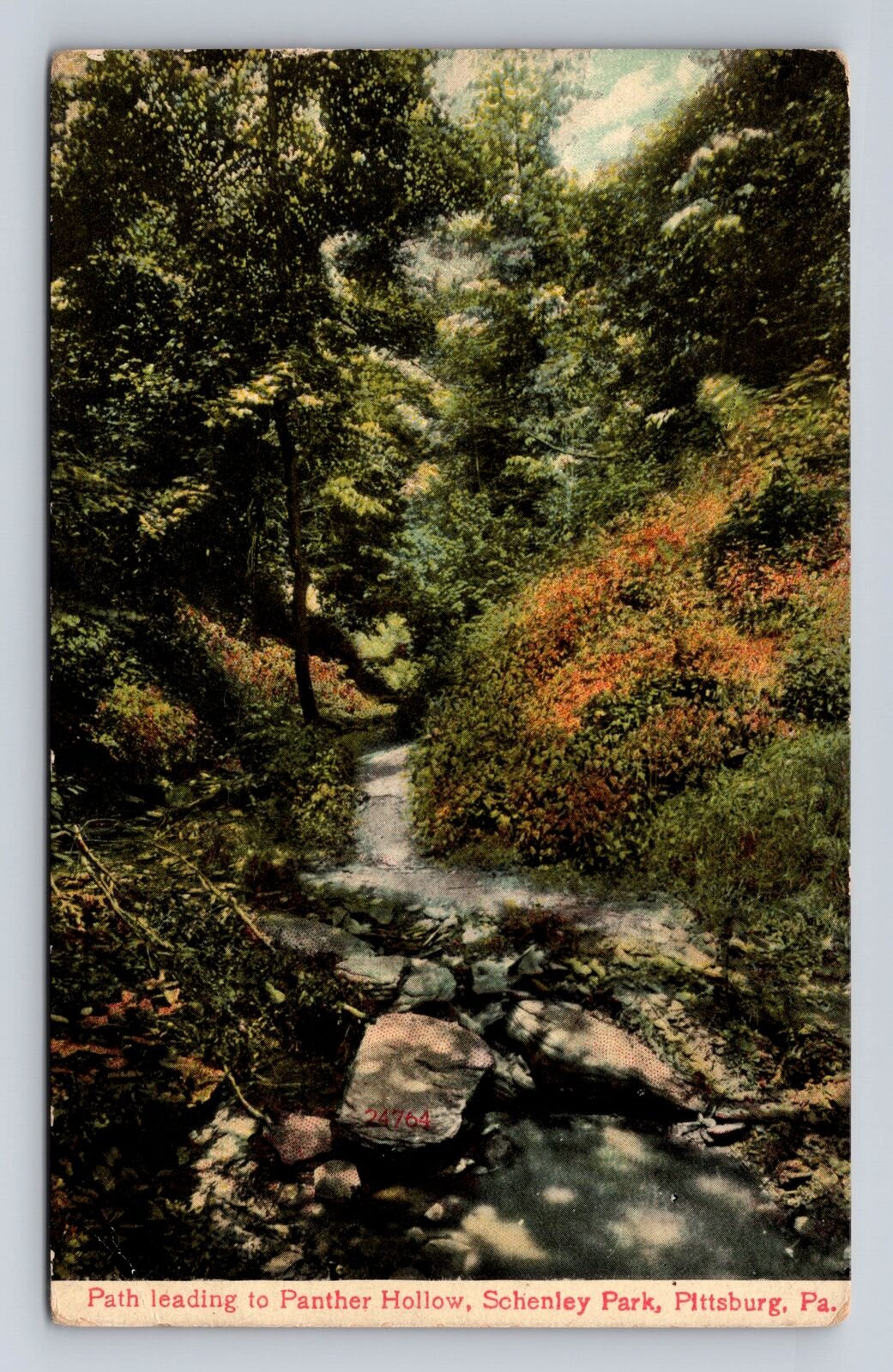 Pittsburg PA- Pennsylvania, Path Leading Panther Hollow, Vintage c1909 Postcard