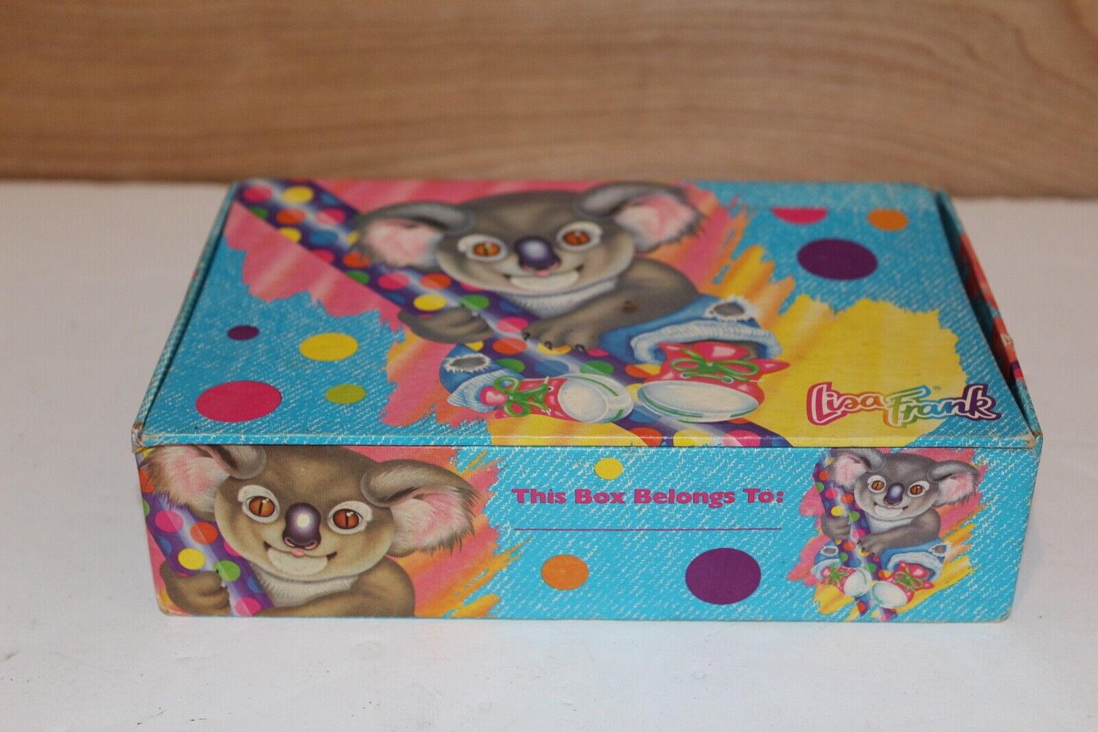Vtg 1990 Lisa Frank Koala Bear Rainbow Colored Cardboard Pencil Box RARE USA 