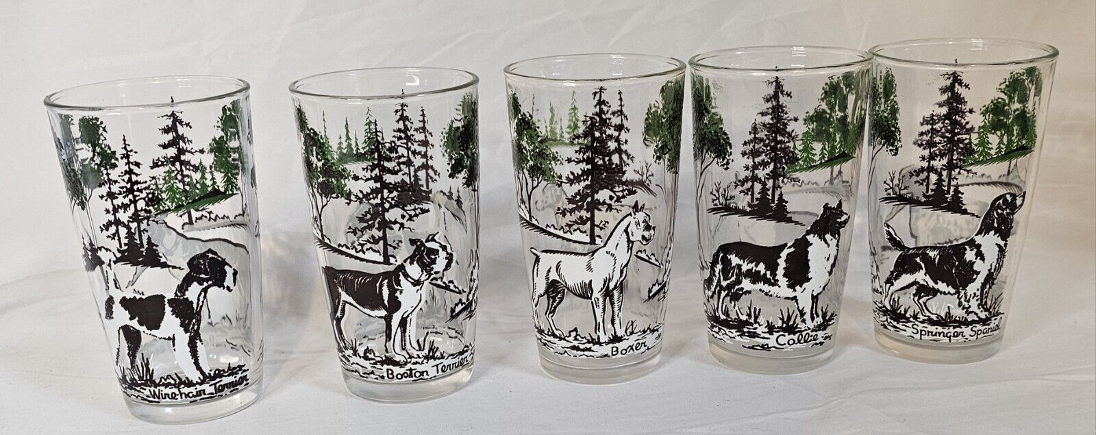 Set of 5 Vintage MCM Sports Dog Drinking Glasses Glasses Show 2 Breed Great Con