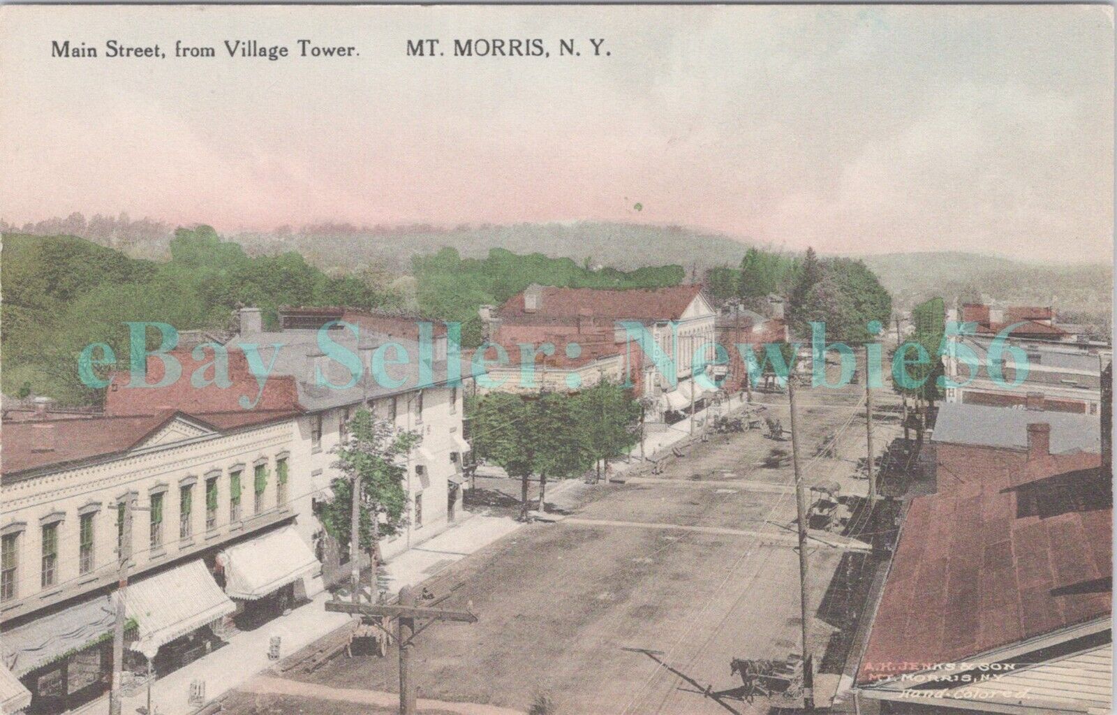 Mount Morris NY - MAIN STREET FROM VILLAGE TOWER - Hand Colored Postcard MT
