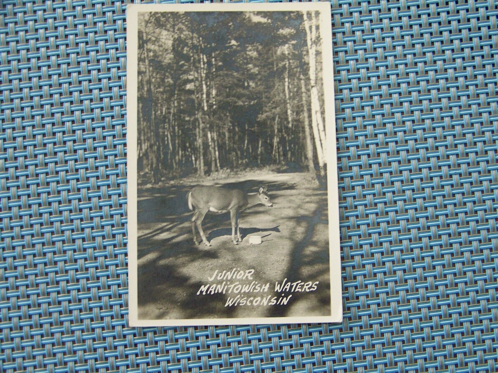 Manitowish Waters Wisconsin WI RPPC Real Photo Junior