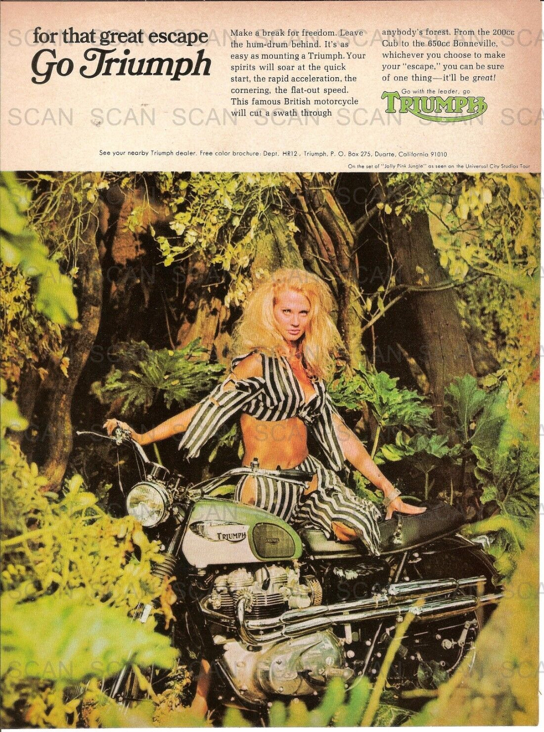 1967 Triumph Motorcycles Vintage Magazine Ad  Sexy Blonde Girl on Motorcycle