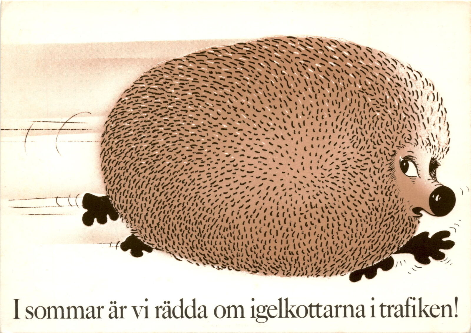 summer, hedgehogs, traffic, Swedish nature, Posten, 1974, Europe,  Postcard