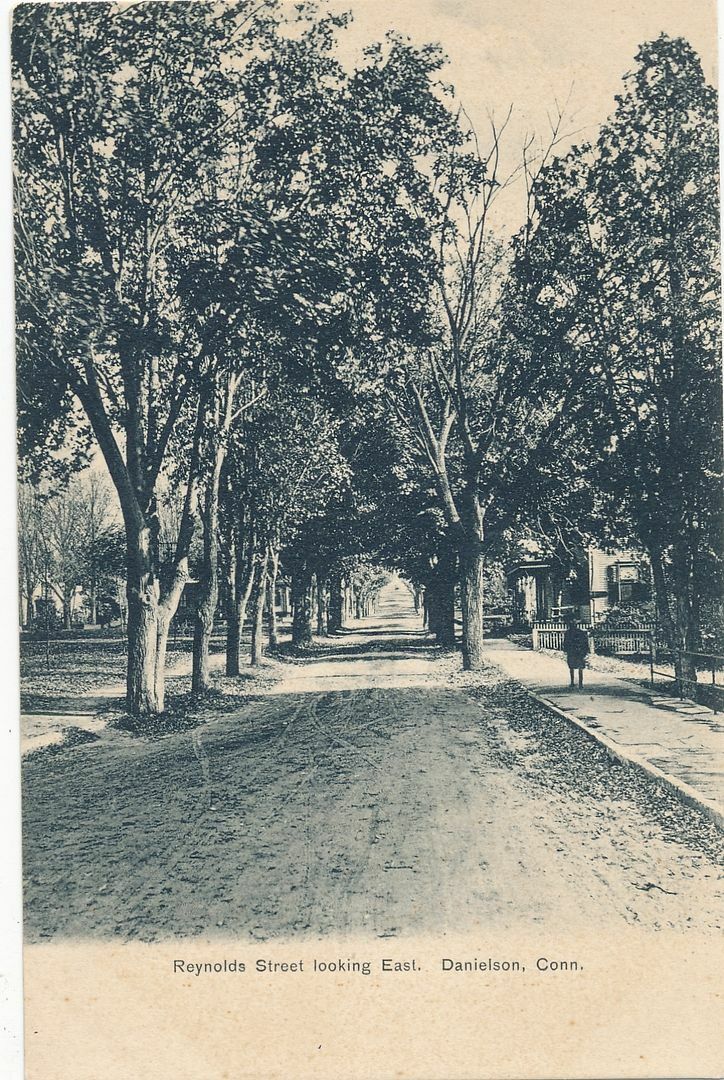 DANIELSON CT - Reynolds Street looking East - udb (pre 1908)