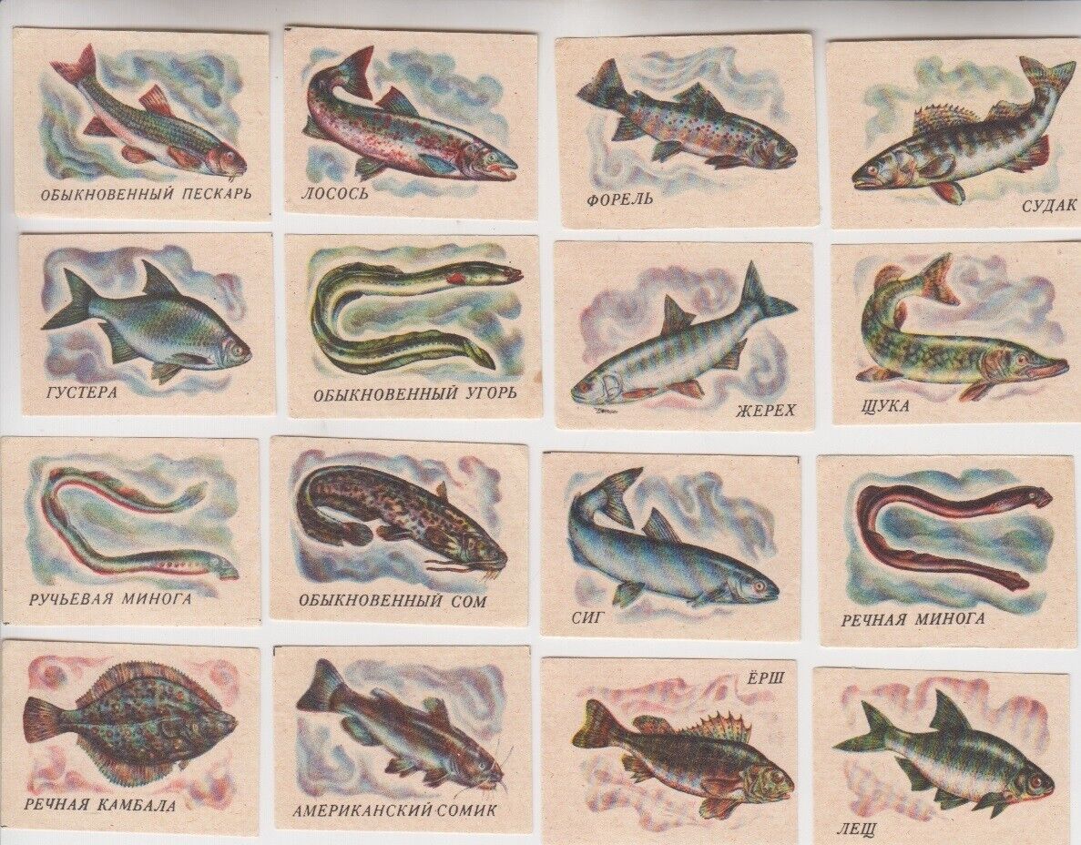USSR Russian Fauna River & Lake Fish Речные и озерные рыбы. Vintage. 27 labels