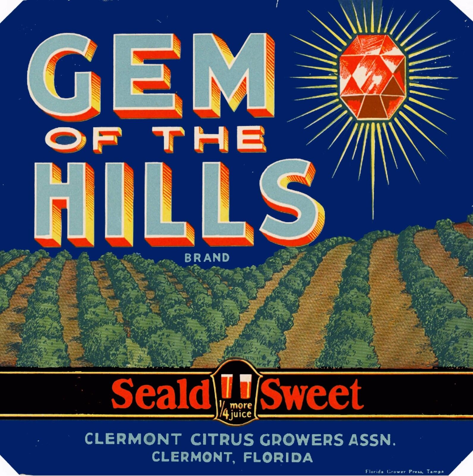 Clearwater Florida Gem of the Hills 2 Orange Citrus Fruit Crate Label Art Print