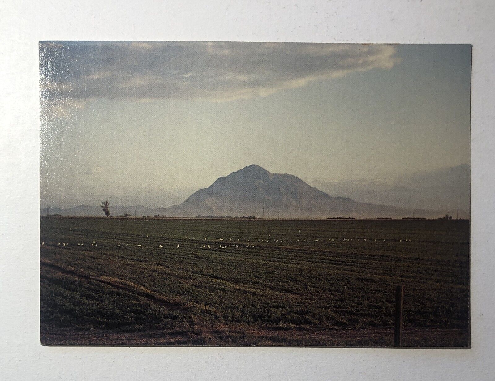 Postcard -  Signal Peak, Imperial Valley,  Arizona