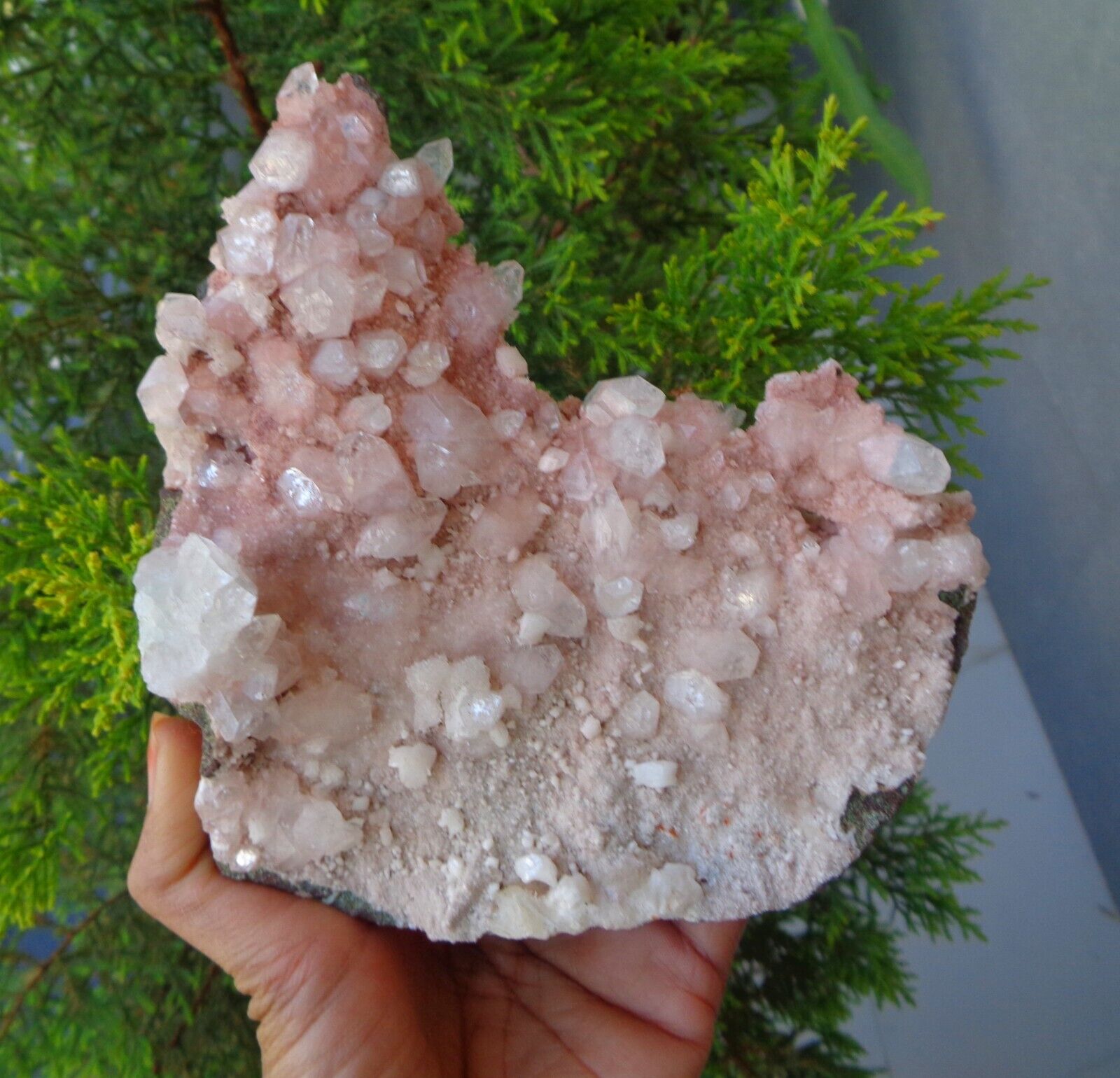 Apophyllite Crystals On Light Pink Matrix Minerals Specimen #H9