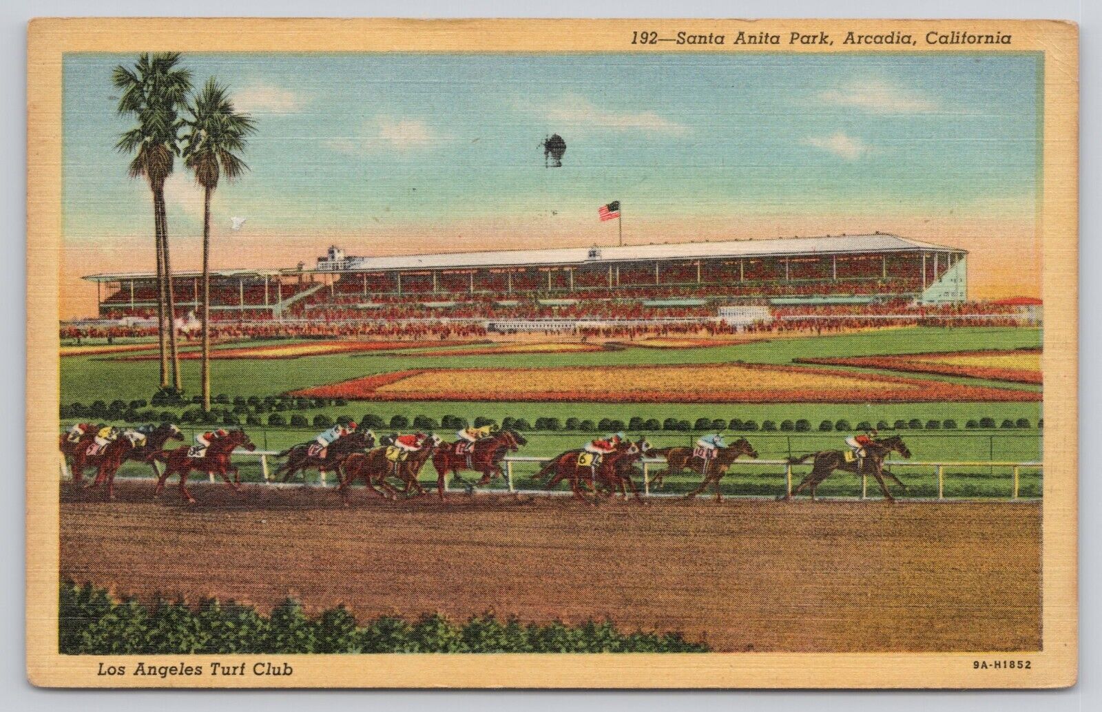 Arcadia CA Santa Anita Park Horse Racing Los Angeles Turf Club 1952 Postcard