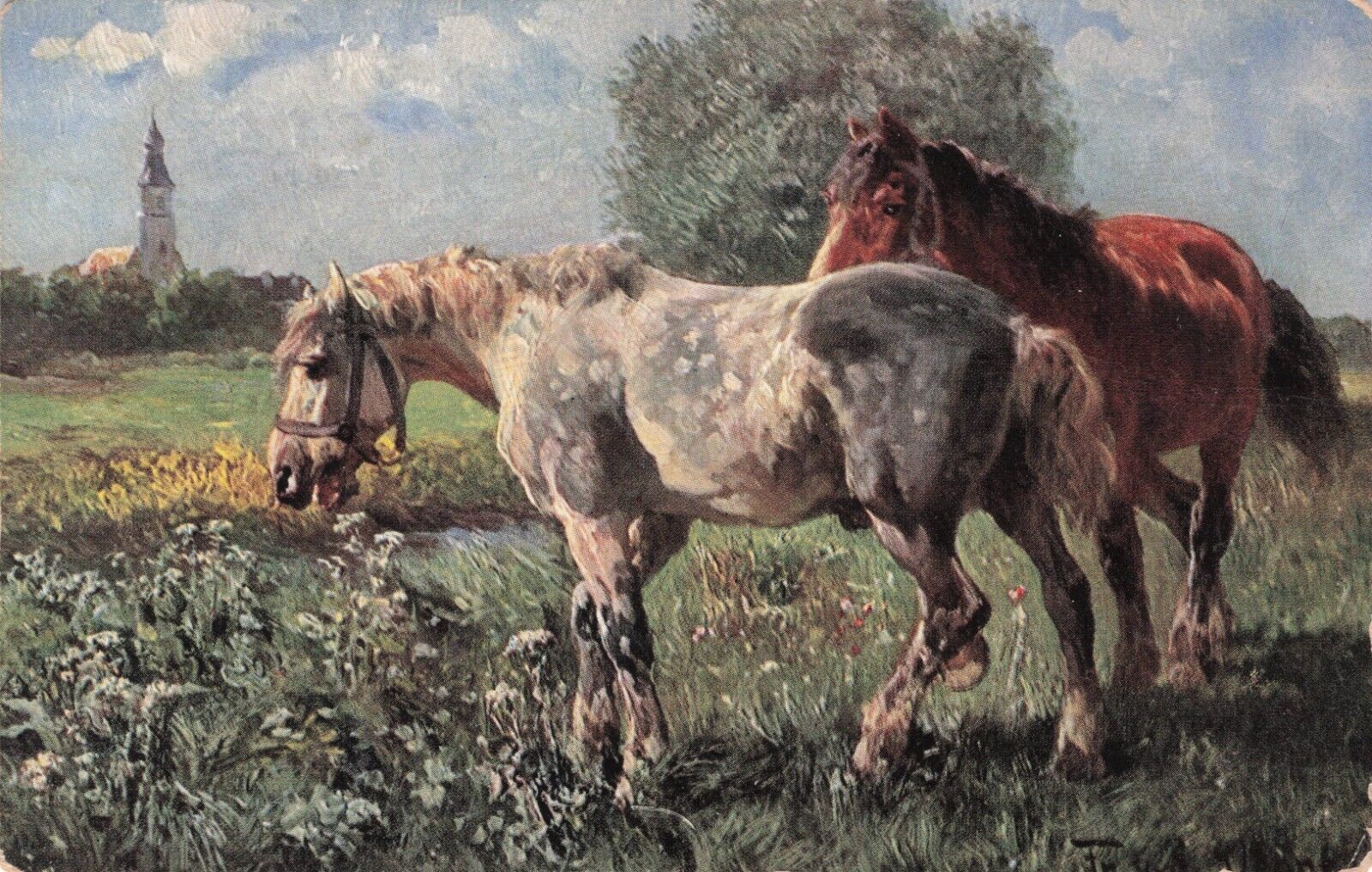 Artist Signed Grey and Bay Horses in Field Vintage Postcard