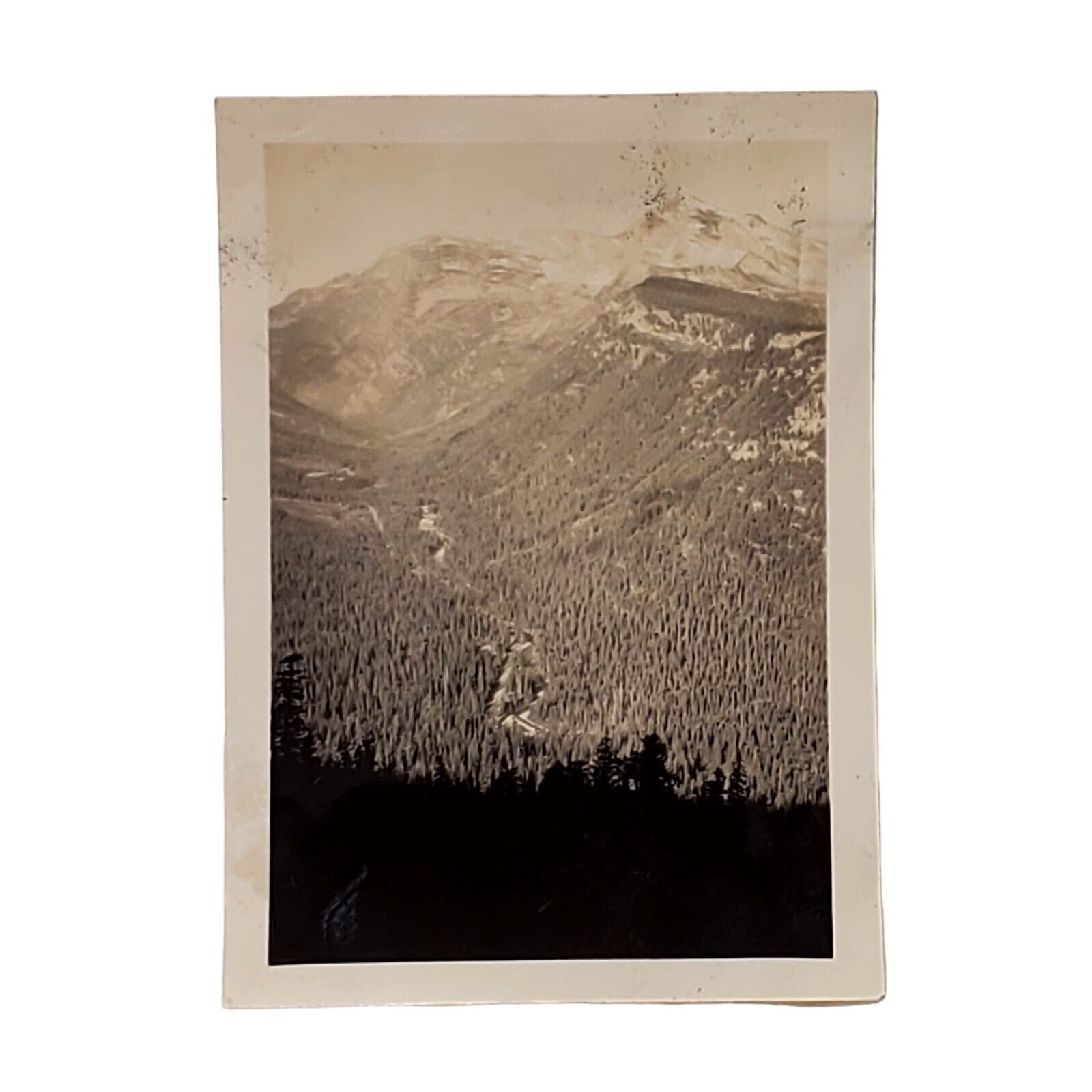 Vtg B&W Photo 1940s Found Yellowstone National Park Mountain View Snapshot