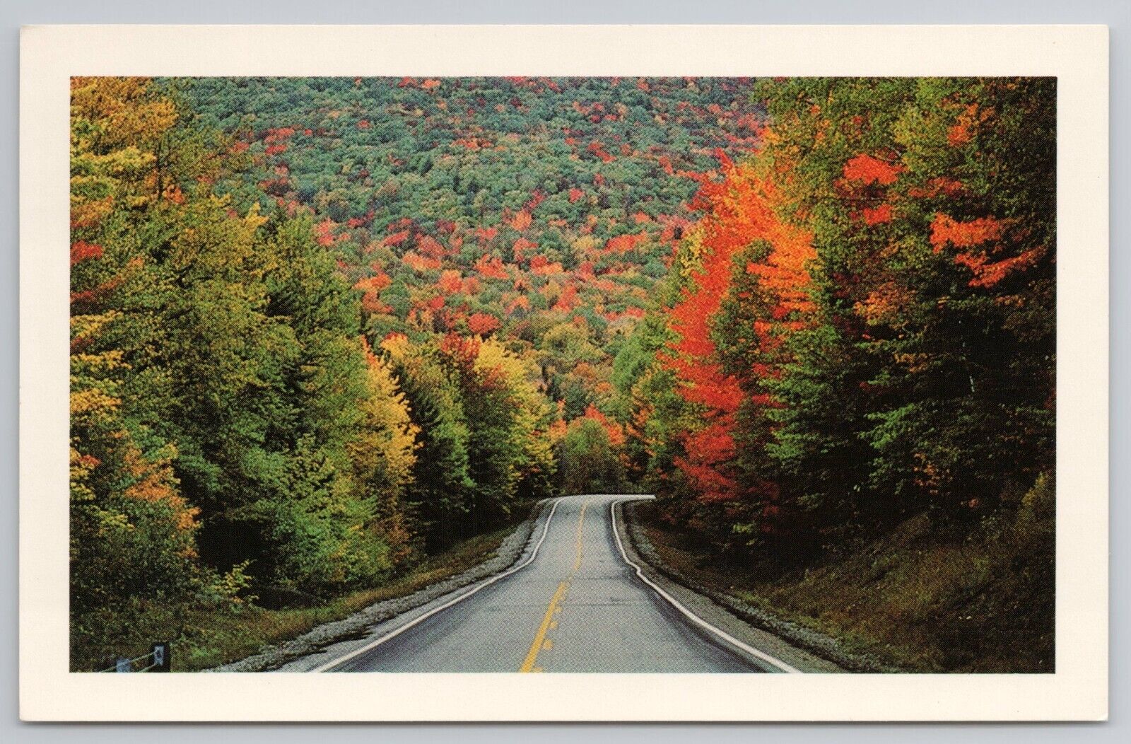 Kancamagus Highway White Mountains New Hampshire Postcard