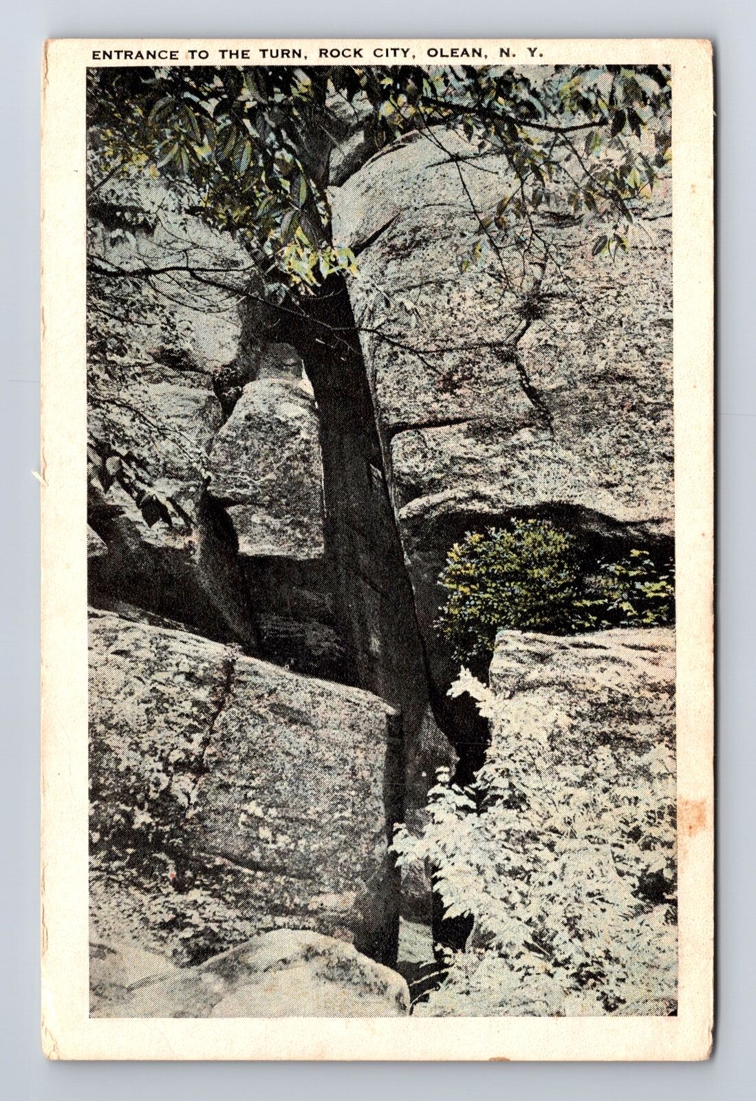 Olean NY-New York, Entrance to Turn Rock City, Antique Vintage Postcard
