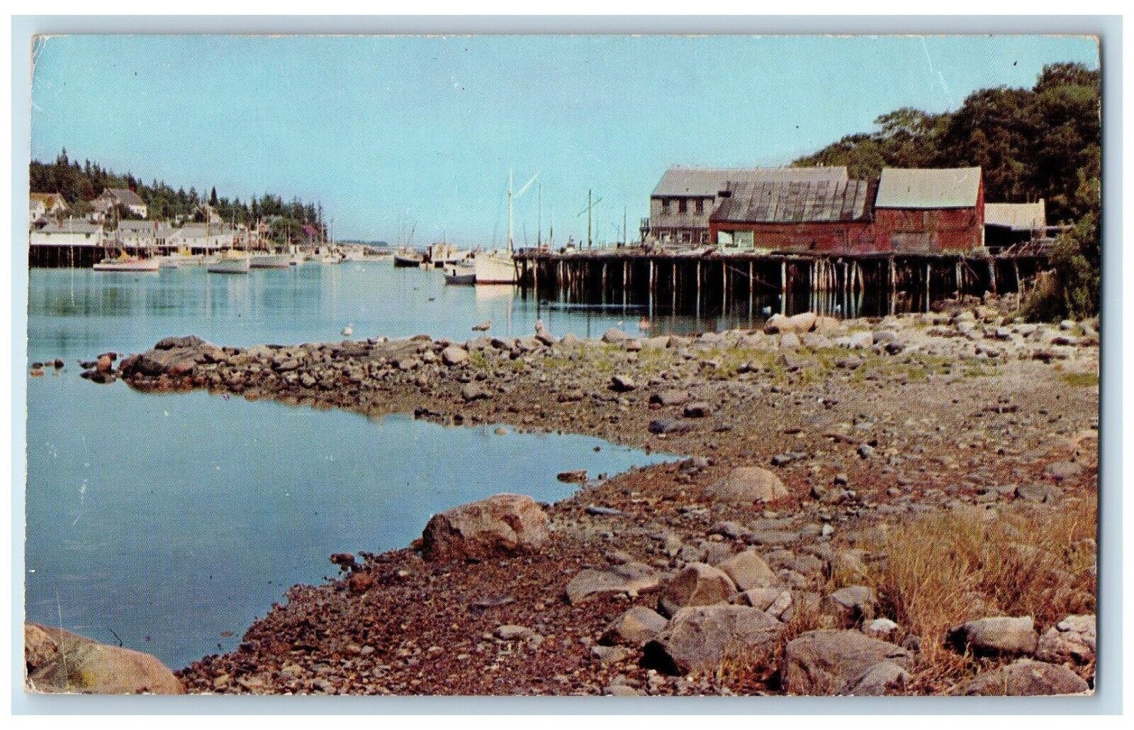 1956 Fish Wharf And Anchorage New Harbor Maine ME Posted Vintage Postcard