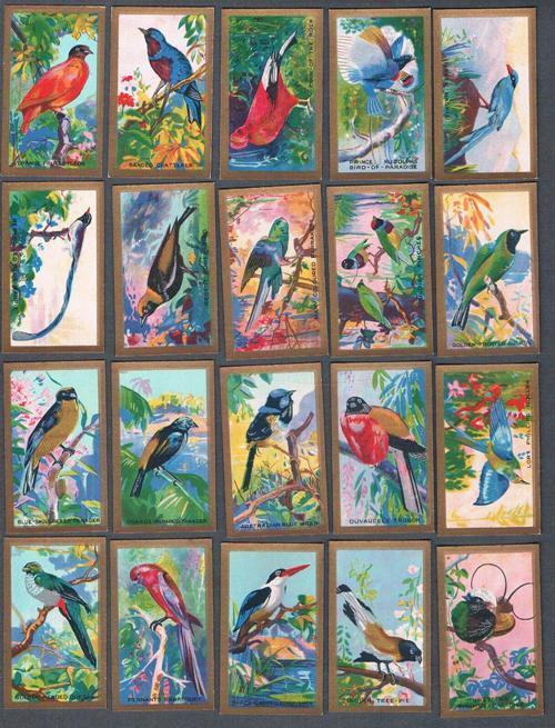 1935 Abdulla & Co. Feathered Friends Tobacco Cards Complete Set of 25