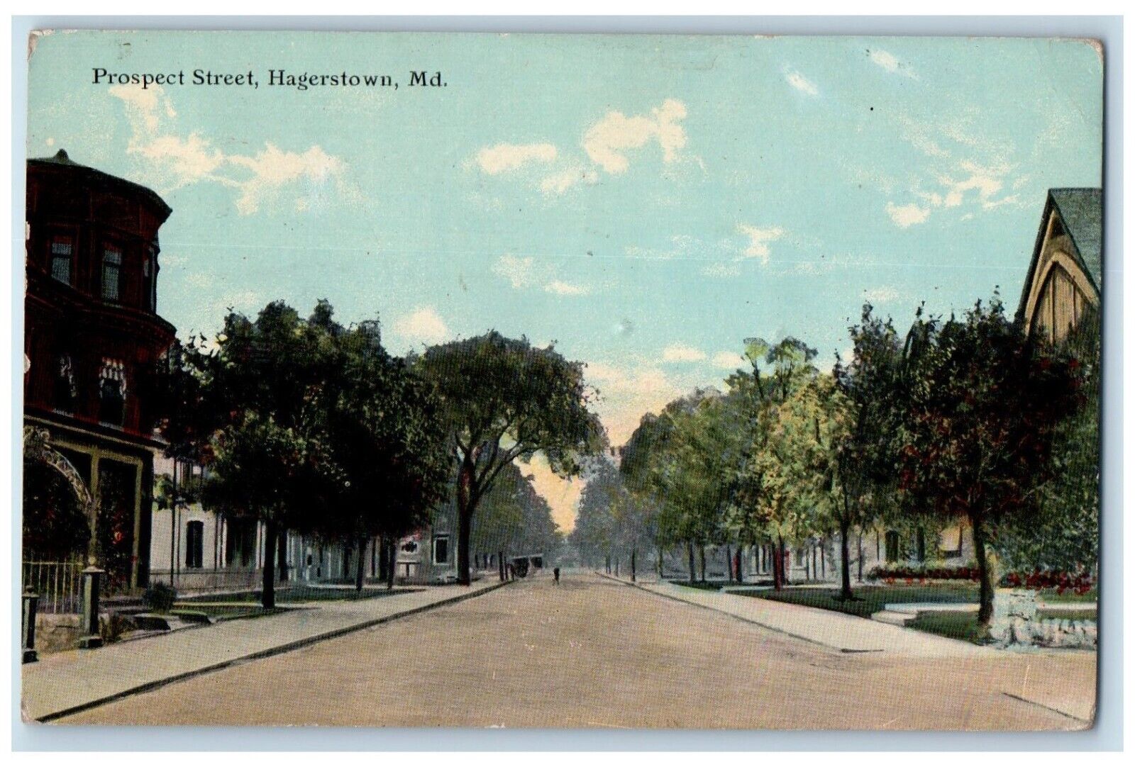 1912 Prospect Street Road Trees Hagerstown Maryland MD Antique Vintage Postcard