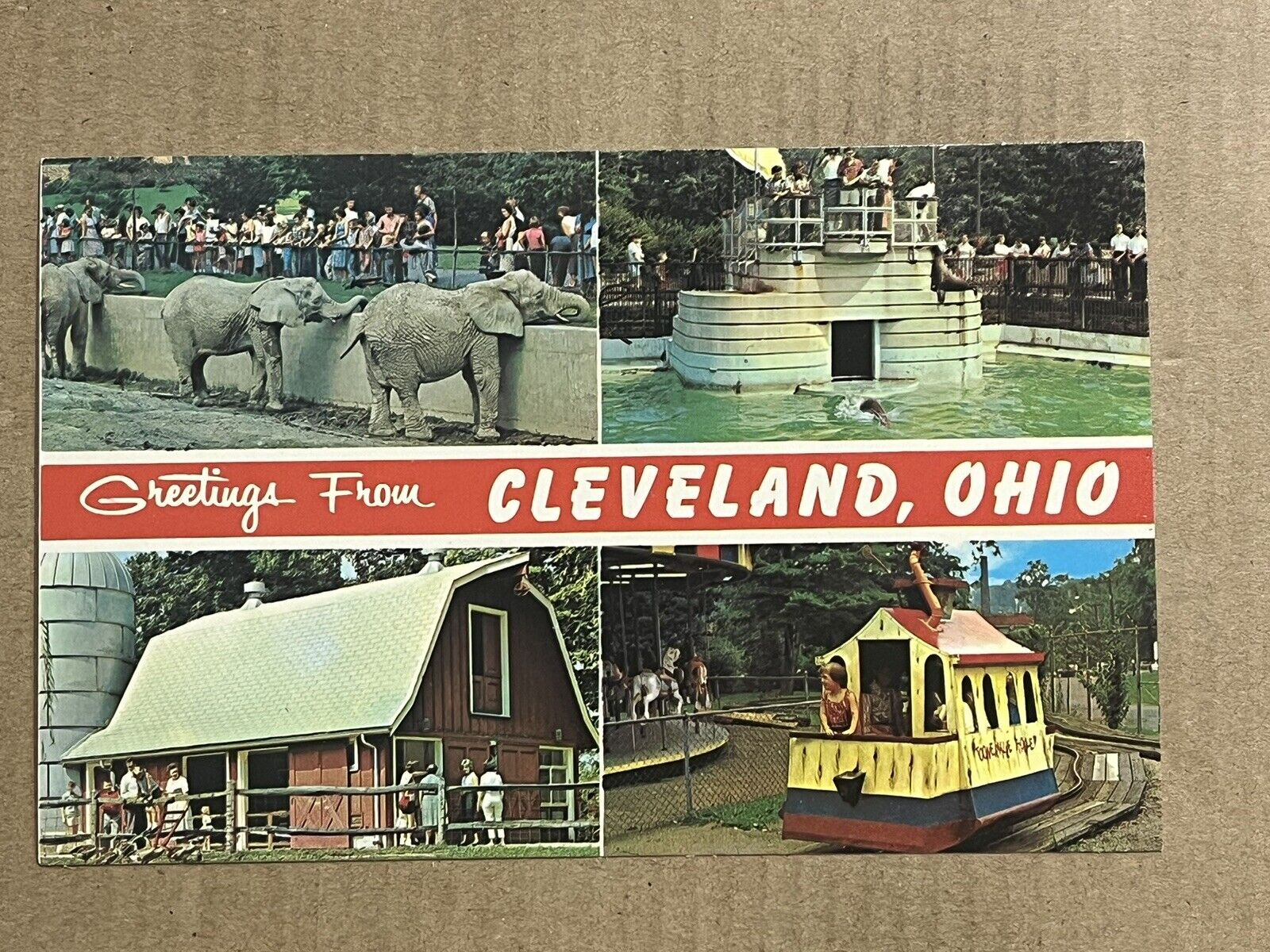 Postcard Cleveland Ohio Zoo Greetings Animals Elephants Trolley Train Vintage OH