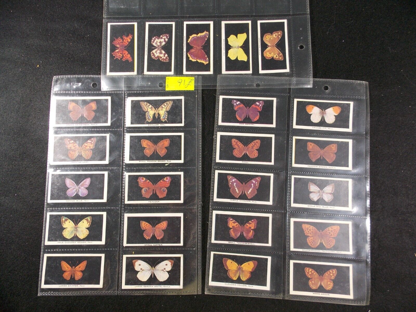Godfrey Phillips Cigarette Cards British Butterflies 1927 Complete Set 25
