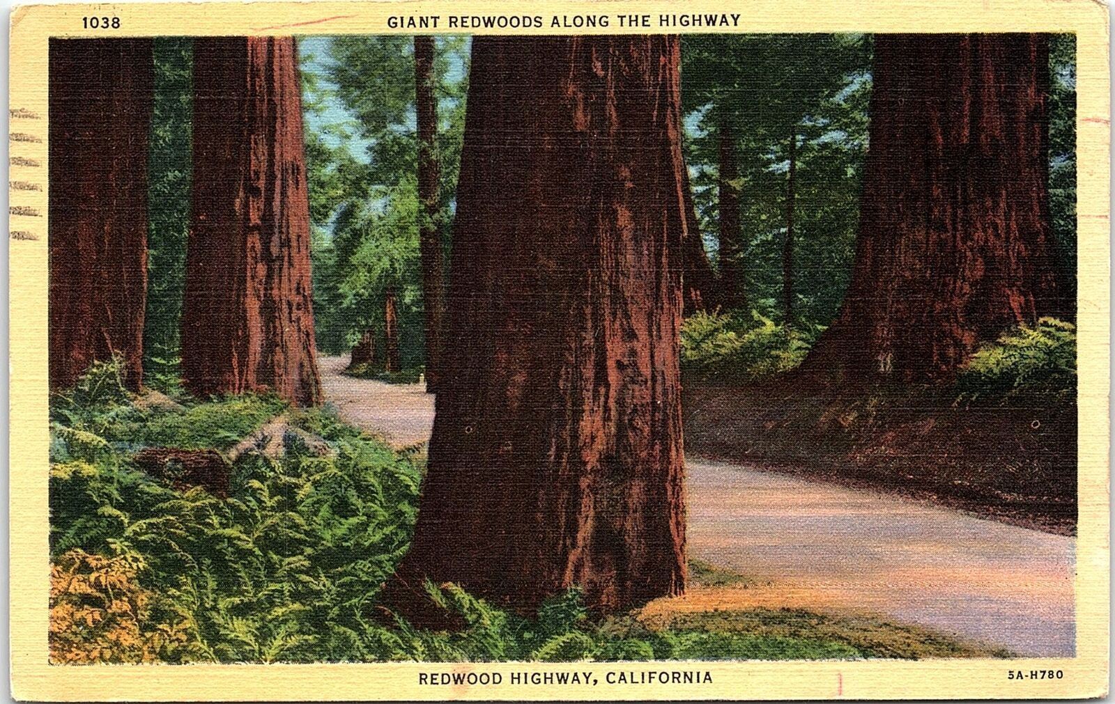 1930s REDWOOD HIGHWAY CALIFORNIA GIANT REDWOODS HIGHWAY LINEN POSTCARD 42-179