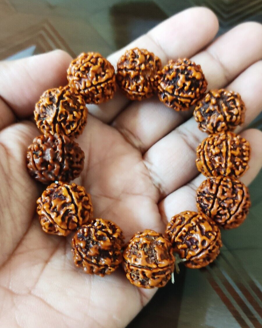 Seven 7 Mukhi Rudraksha Bracelet Nepal Beads Certified Yoga Energized